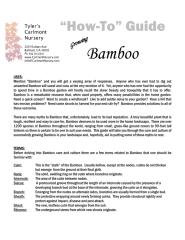 Gardening Guide - Diy How To Grow Bamboo.pdf