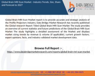 Brain MRI Scan Market report.pptx
